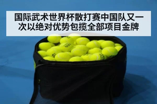 国际武术世界杯散打赛中国队又一次以绝对优势包揽全部项目金牌